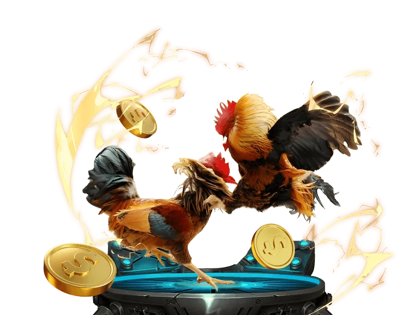 Phân tích khuyến mãi 789pet